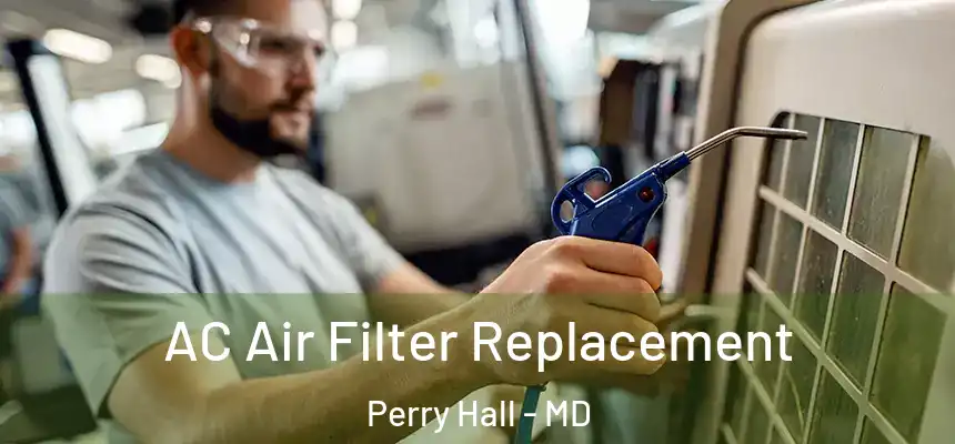  AC Air Filter Replacement Perry Hall - MD
