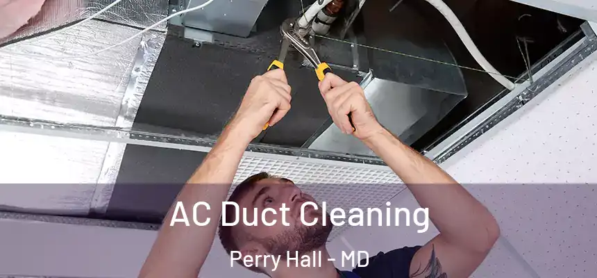 AC Duct Cleaning Perry Hall - MD