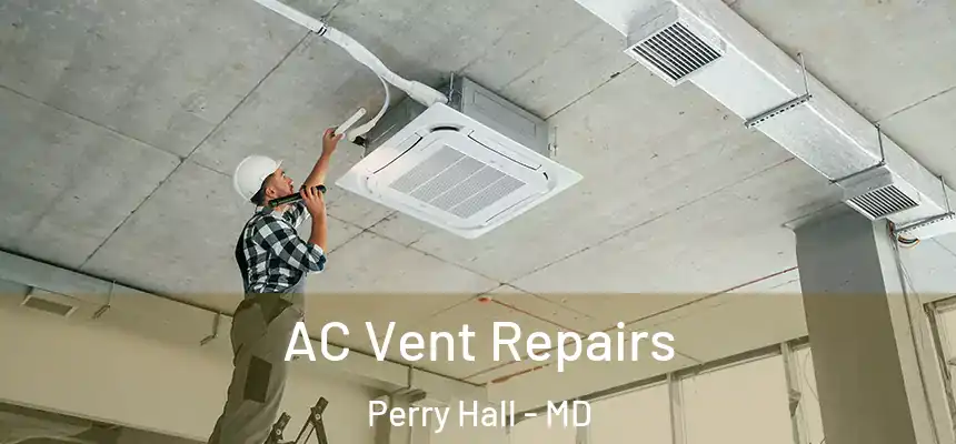  AC Vent Repairs Perry Hall - MD