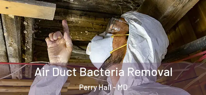  Air Duct Bacteria Removal Perry Hall - MD