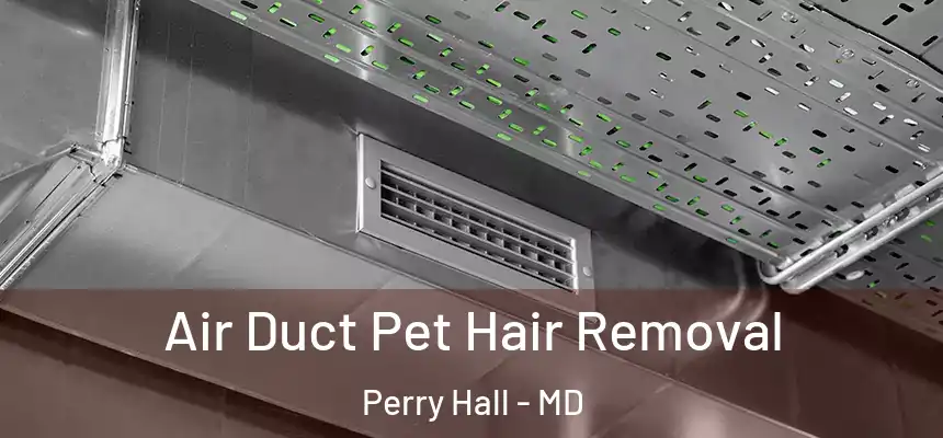 Air Duct Pet Hair Removal Perry Hall - MD
