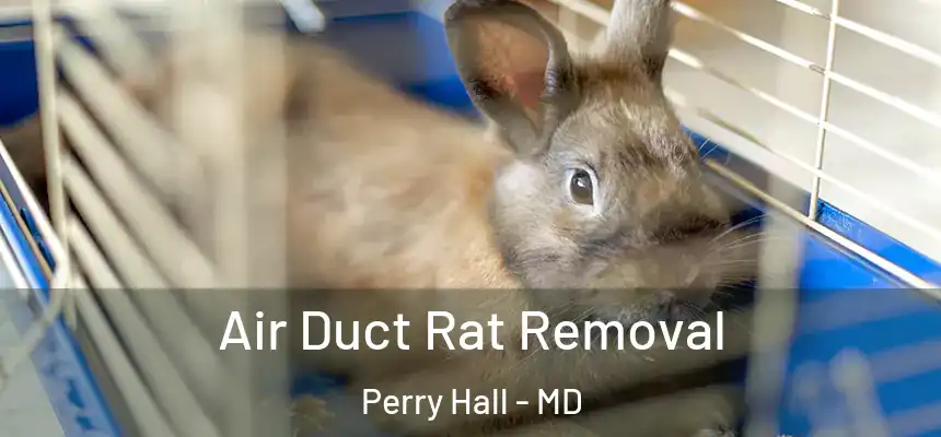  Air Duct Rat Removal Perry Hall - MD