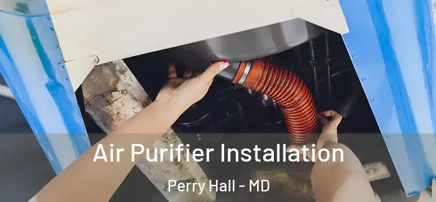  Air Purifier Installation Perry Hall - MD