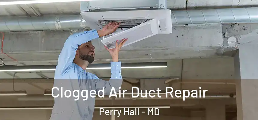  Clogged Air Duct Repair Perry Hall - MD