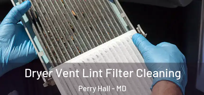Dryer Vent Lint Filter Cleaning Perry Hall - MD