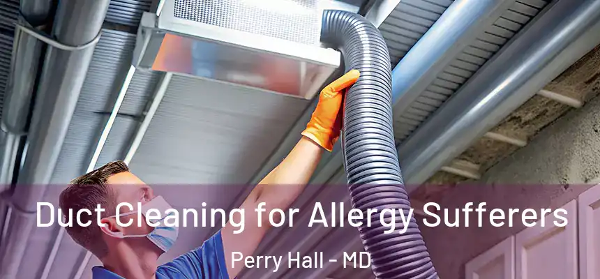 Duct Cleaning for Allergy Sufferers Perry Hall - MD