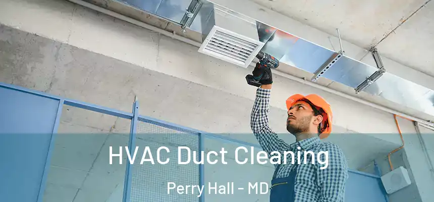  HVAC Duct Cleaning Perry Hall - MD
