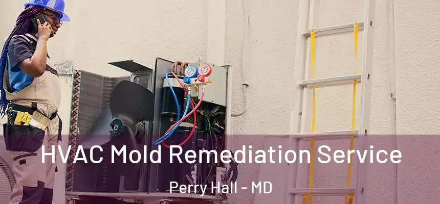  HVAC Mold Remediation Service Perry Hall - MD