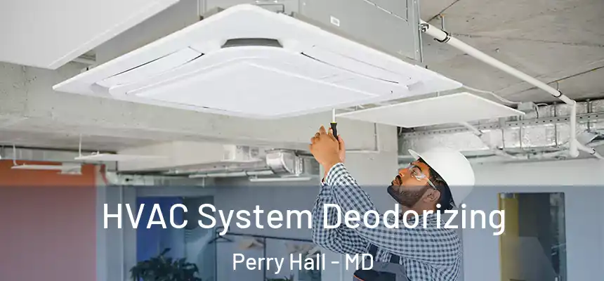  HVAC System Deodorizing Perry Hall - MD