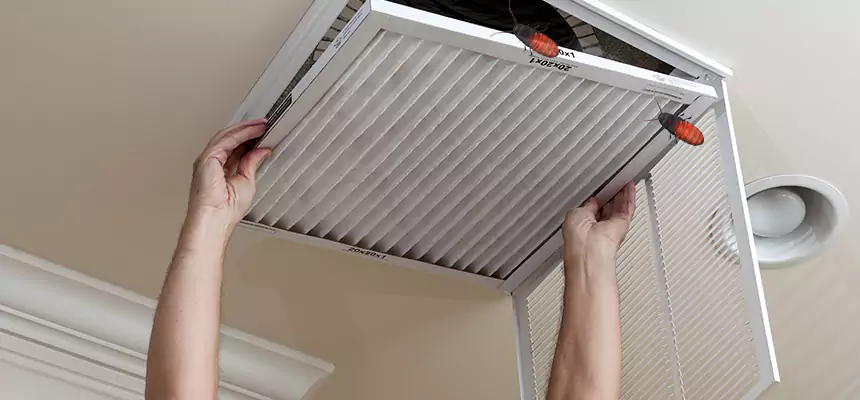 Preventive Cockroach-Proofing for Ducts in Perry Hall