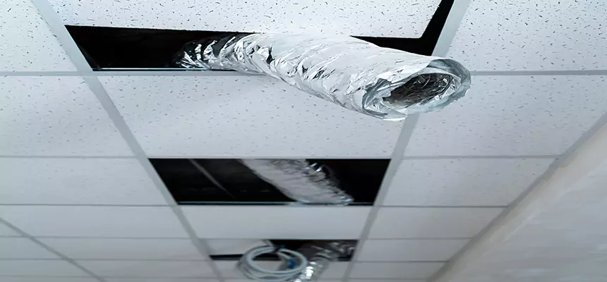 Our Air Duct Pet Hair Removal Services in Perry Hall, MD