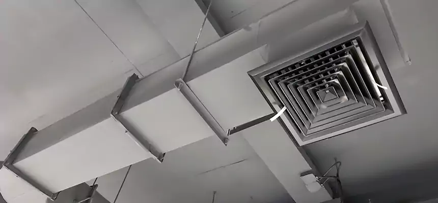 Our Pest Removal From Ducts Services in Perry Hall, MD