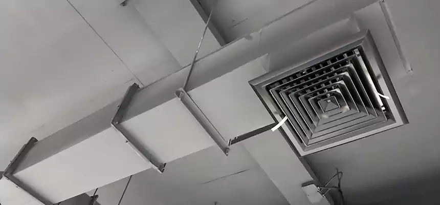 Our Rodent Droppings In Vents Services in Perry Hall, MD