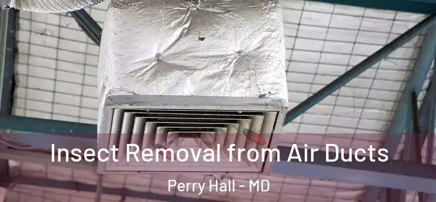  Insect Removal from Air Ducts Perry Hall - MD