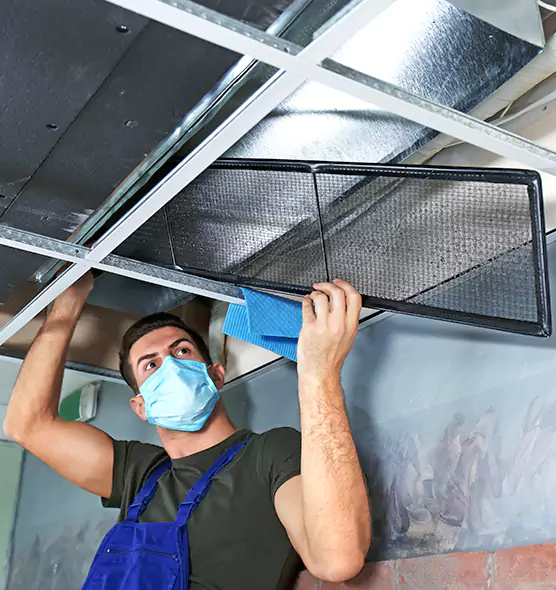 About Air Duct Bacteria Removal in Perry Hall