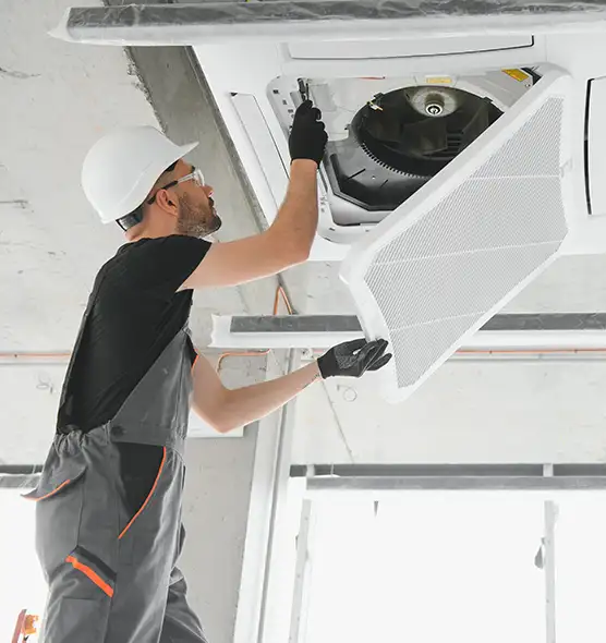 About Air Duct Rodent Removal in Perry Hall, MD