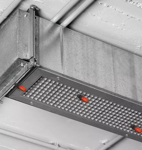Affordable Insect Removal from Air Ducts in Perry Hall, MD
