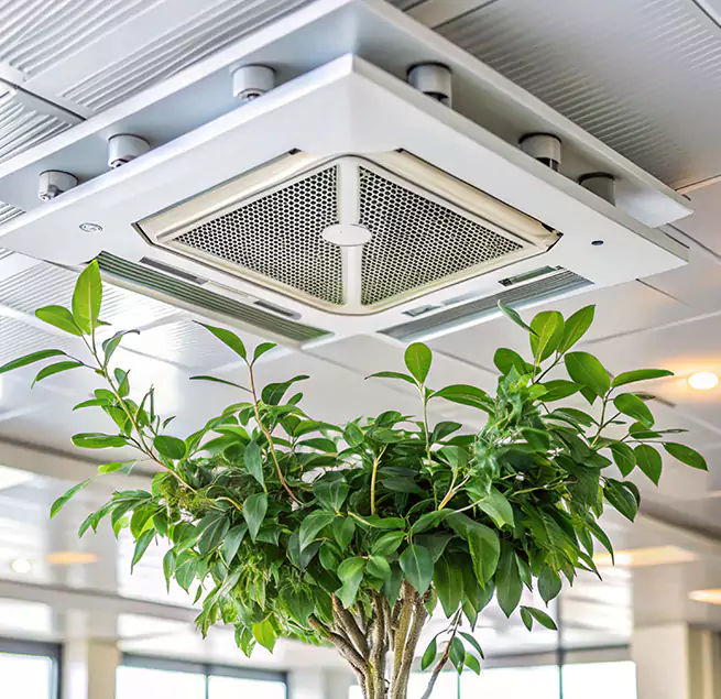 Why Homeowners & Businesses Trust Us in Perry Hall, MD?